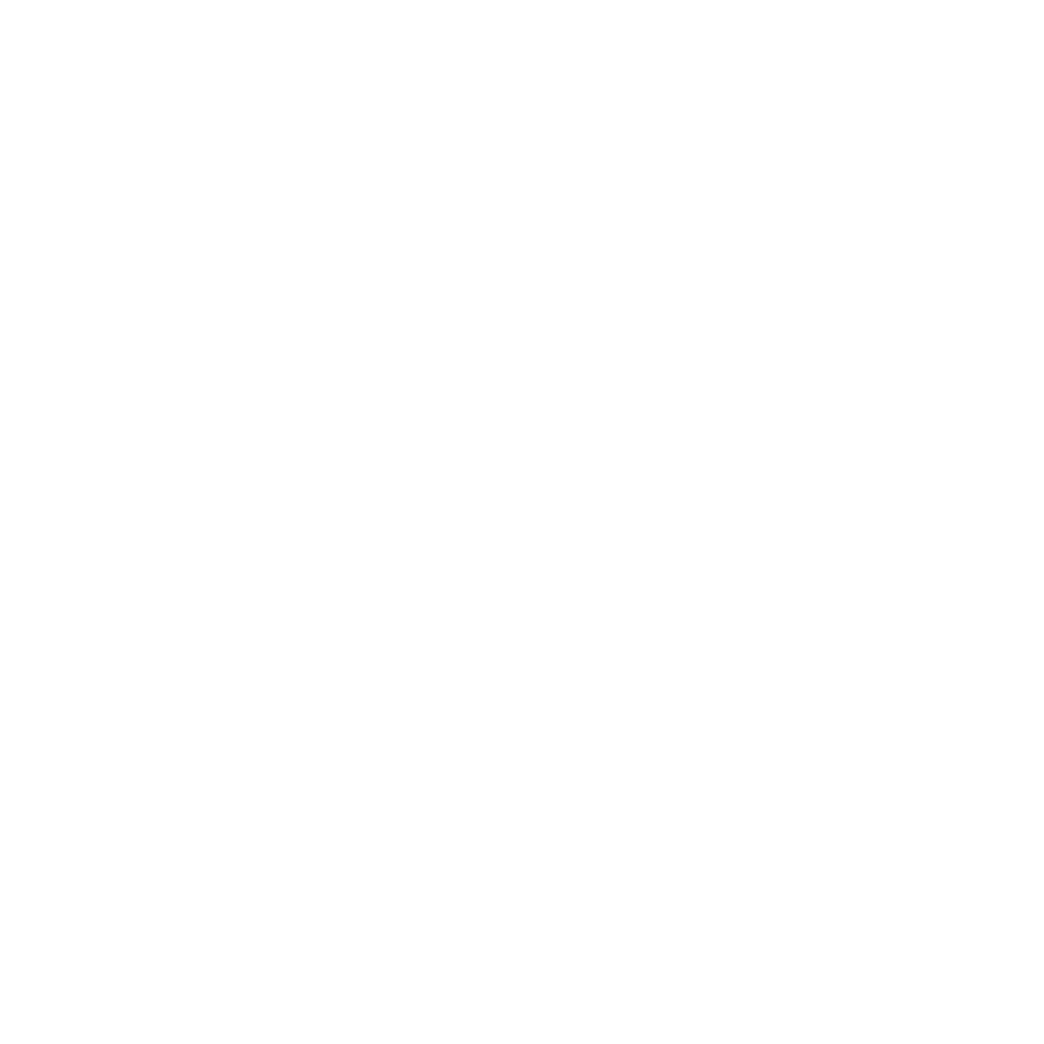 THE FUTURE OF MANAGEMENT
