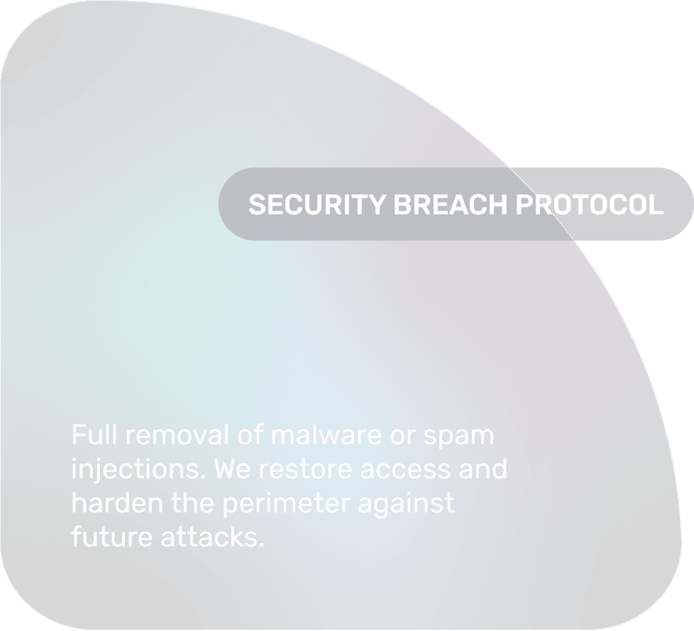 SECURITY BREACH PROTOCOL